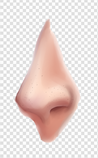 Detail Human Nose Png Nomer 29