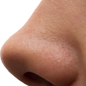 Detail Human Nose Png Nomer 32