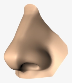 Detail Human Nose Png Nomer 34