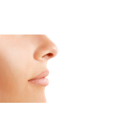 Detail Human Nose Png Nomer 48