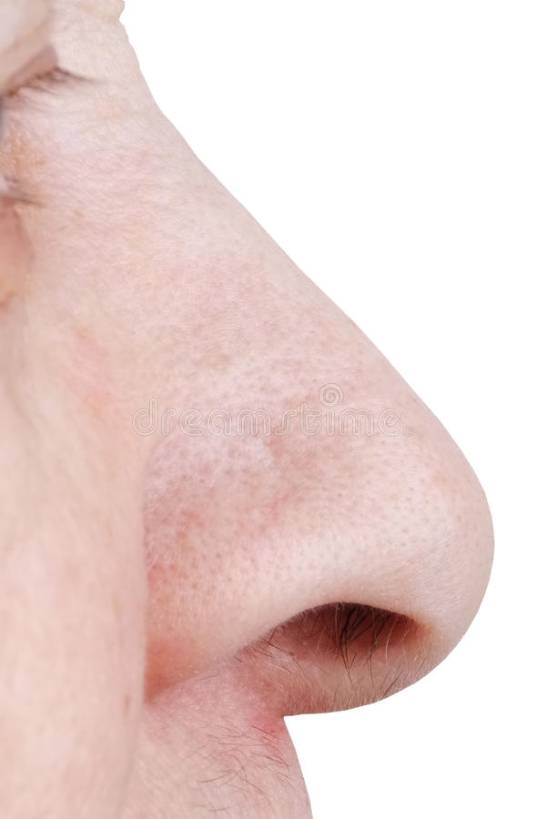 Detail Human Nose Png Nomer 50