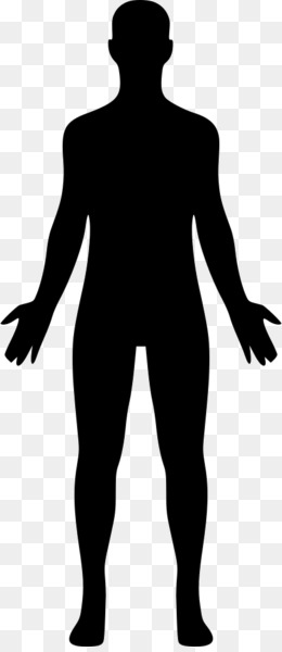 Detail Human Png Vector Nomer 18