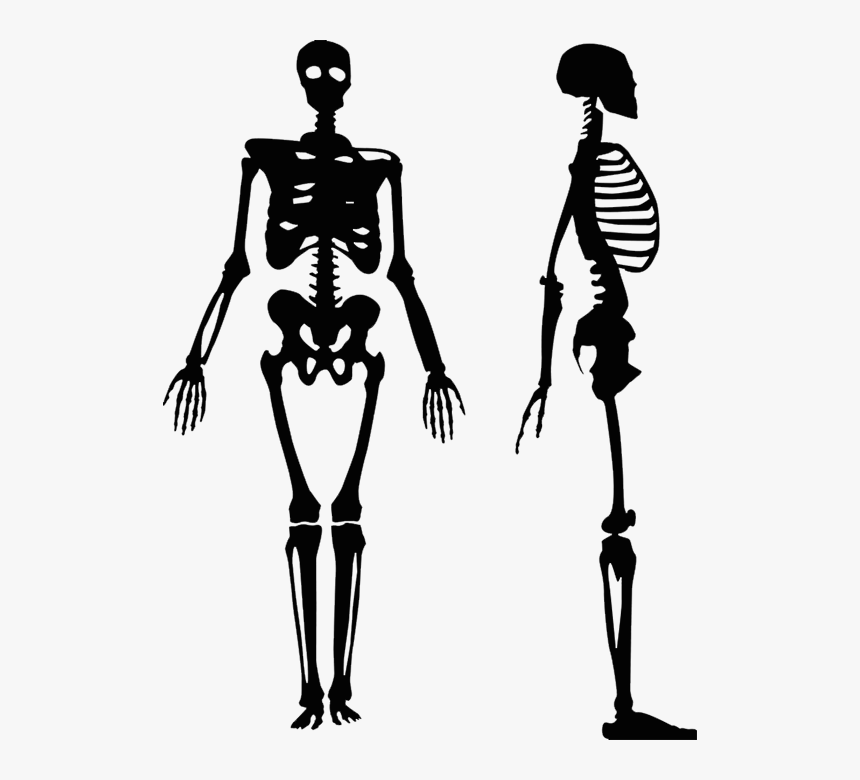 Detail Human Png Vector Nomer 51