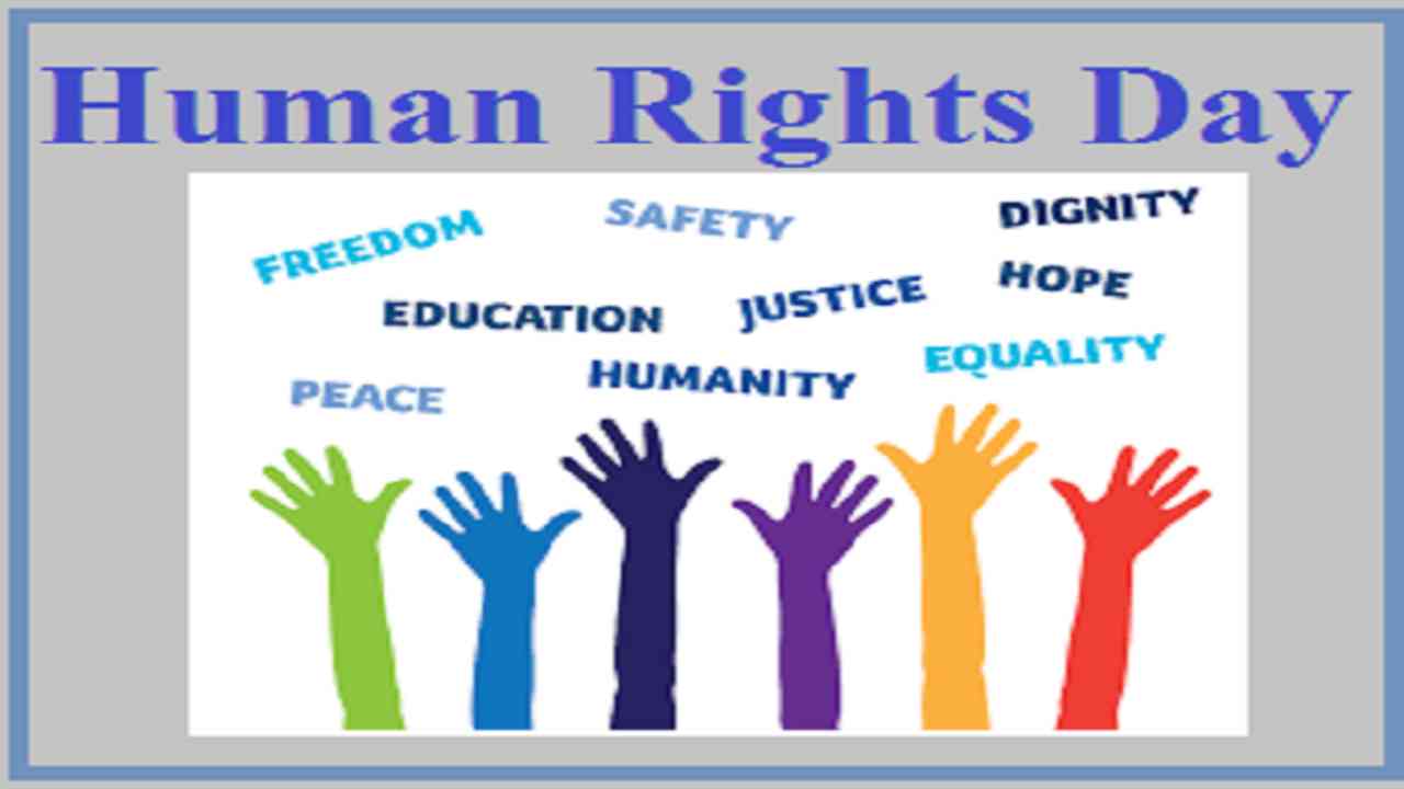 Detail Human Rights Day Quotes Nomer 13