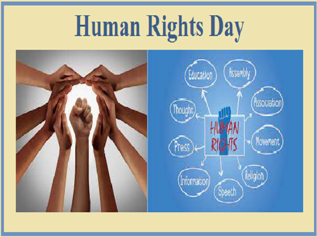 Detail Human Rights Day Quotes Nomer 5