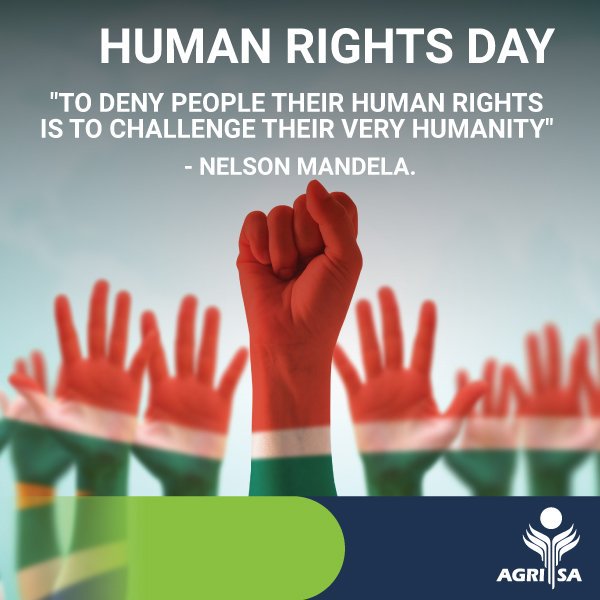 Detail Human Rights Day Quotes Nomer 48