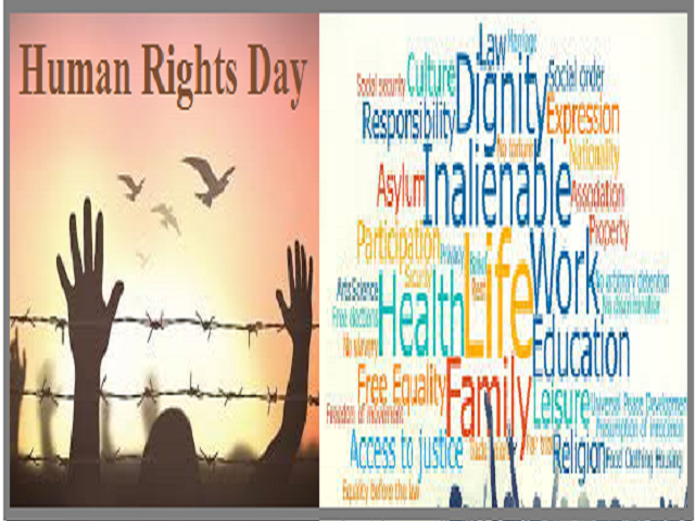 Detail Human Rights Day Quotes Nomer 51