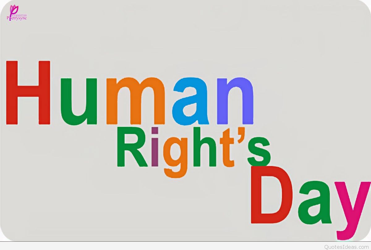 Detail Human Rights Wallpaper Nomer 35