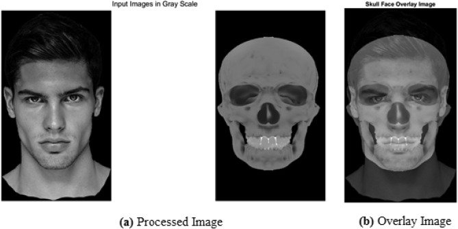 Detail Human Skull Face Nomer 18