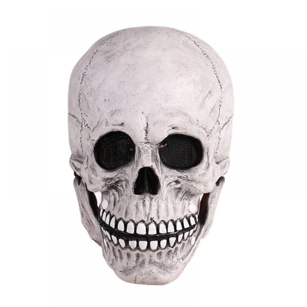 Detail Human Skull Face Nomer 21