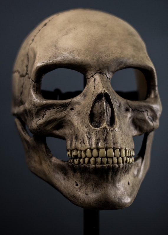 Detail Human Skull Face Nomer 34