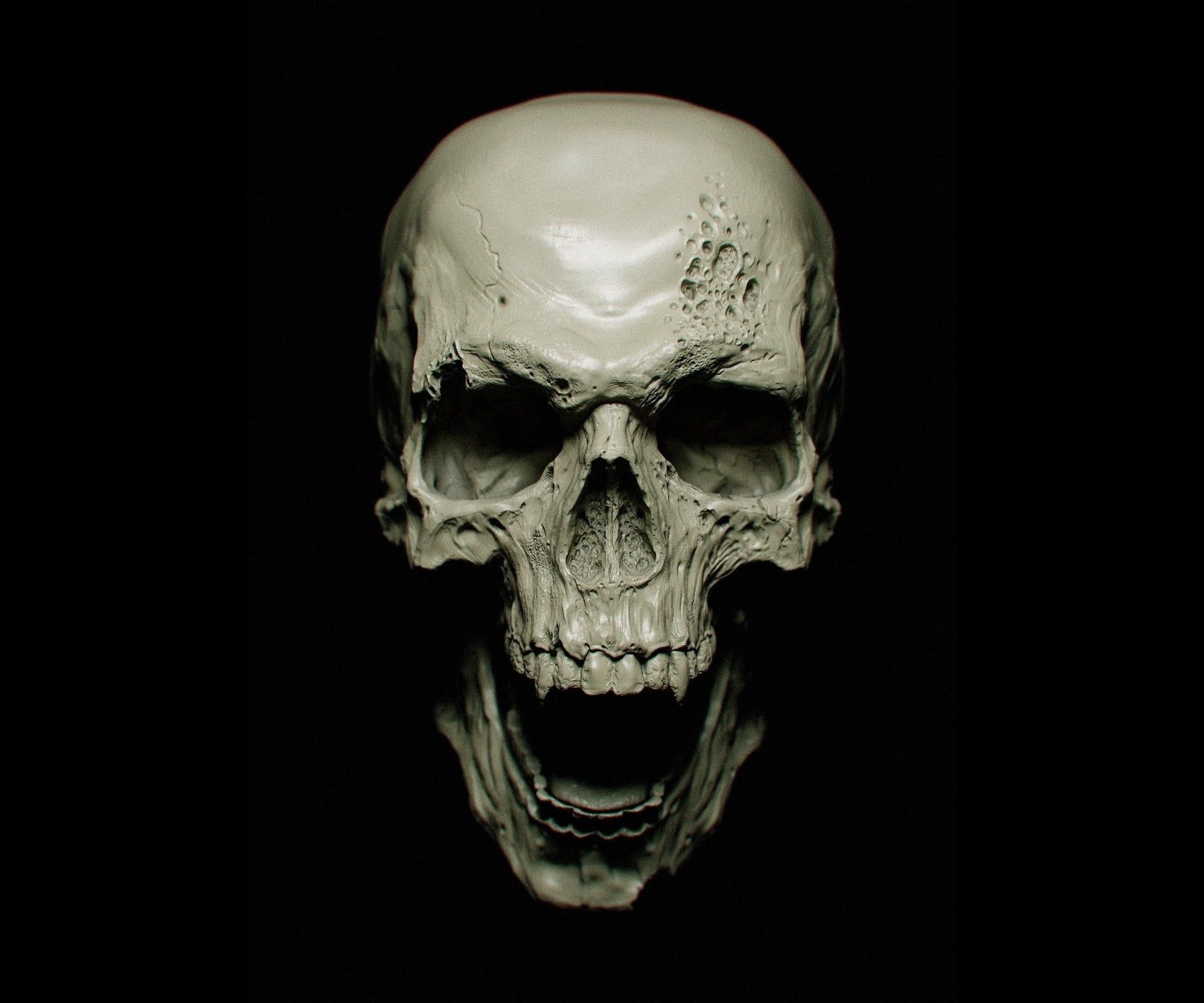 Detail Human Skull Hd Nomer 14