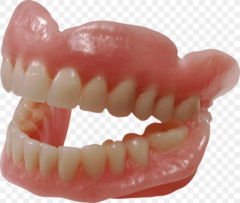 Detail Human Teeth Png Nomer 11