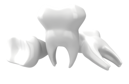 Detail Human Teeth Png Nomer 14