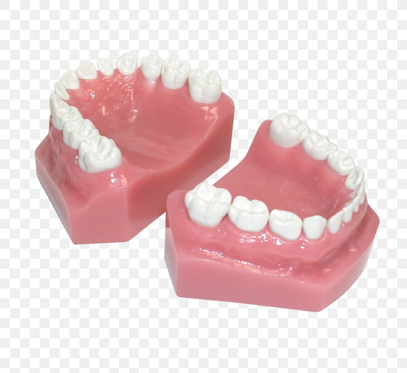 Detail Human Teeth Png Nomer 22