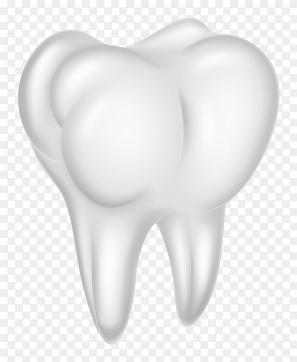 Detail Human Teeth Png Nomer 38