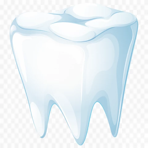 Detail Human Teeth Png Nomer 40