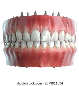 Detail Human Teeth Png Nomer 42