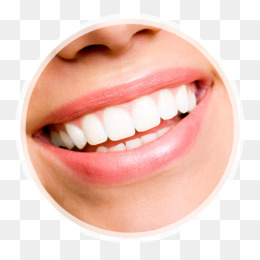 Detail Human Teeth Png Nomer 49