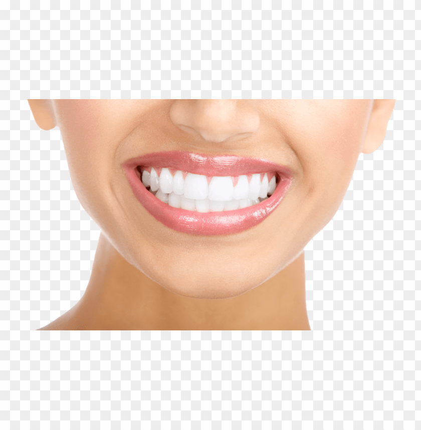 Detail Human Teeth Png Nomer 7