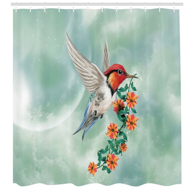 Detail Humming Bird Shower Curtains Nomer 24