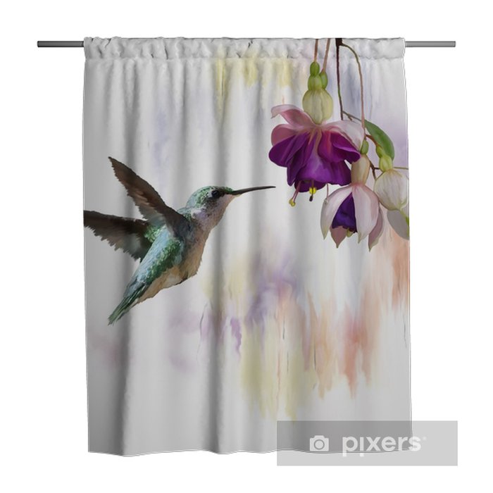 Detail Humming Bird Shower Curtains Nomer 5