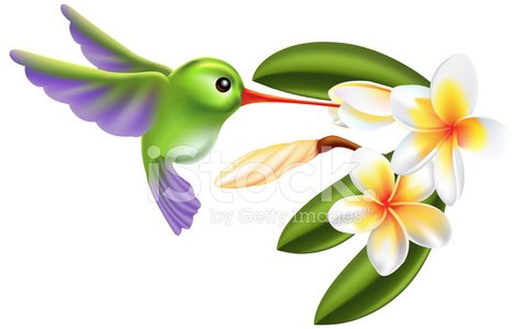 Detail Hummingbird And Flower Clipart Nomer 23