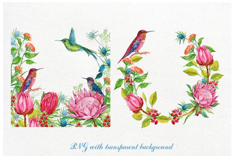 Detail Hummingbird And Flower Clipart Nomer 26