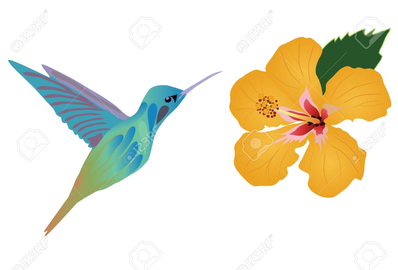 Detail Hummingbird And Flower Clipart Nomer 29