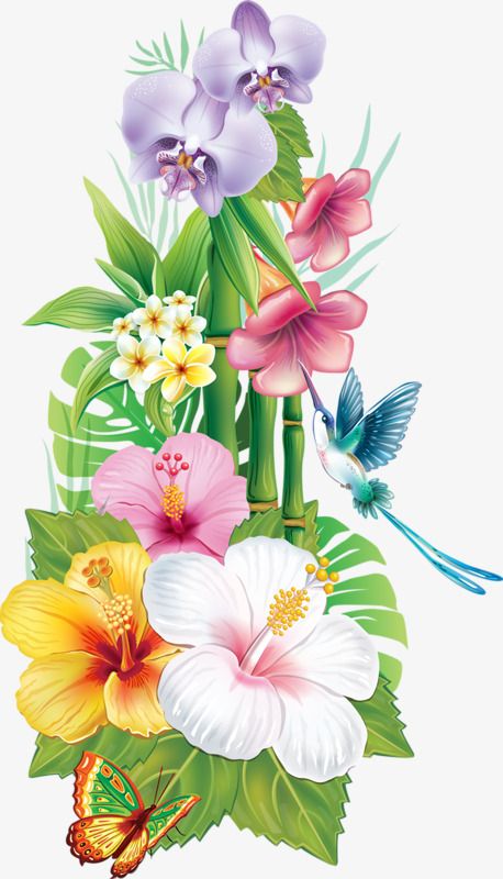 Detail Hummingbird And Flower Clipart Nomer 39