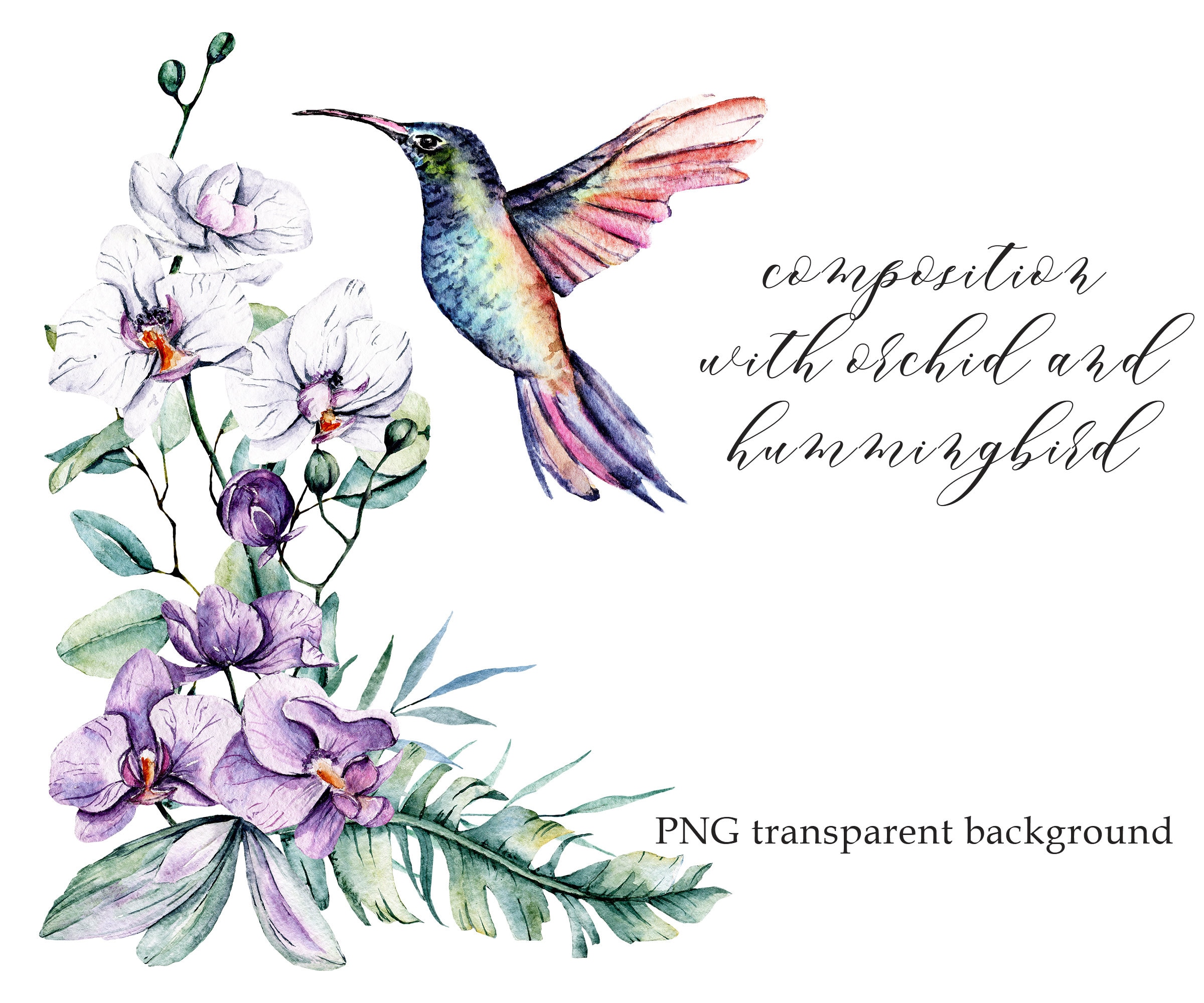 Detail Hummingbird And Flower Clipart Nomer 44