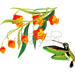 Detail Hummingbird And Flower Clipart Nomer 48