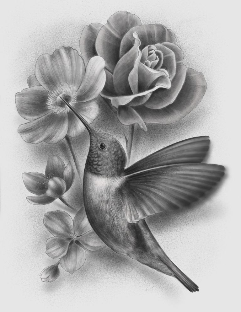 Detail Hummingbird And Flower Pencil Drawing Nomer 2