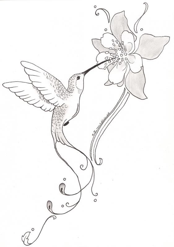 Detail Hummingbird And Flower Pencil Drawing Nomer 15