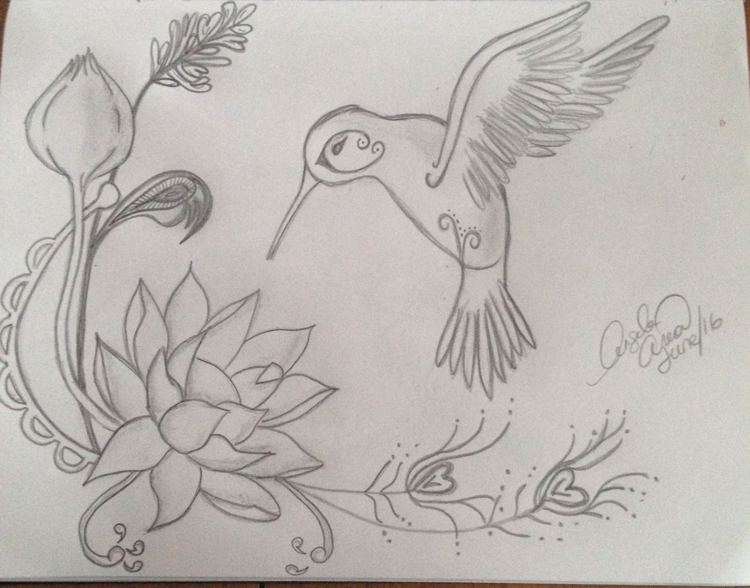 Detail Hummingbird And Flower Pencil Drawing Nomer 22