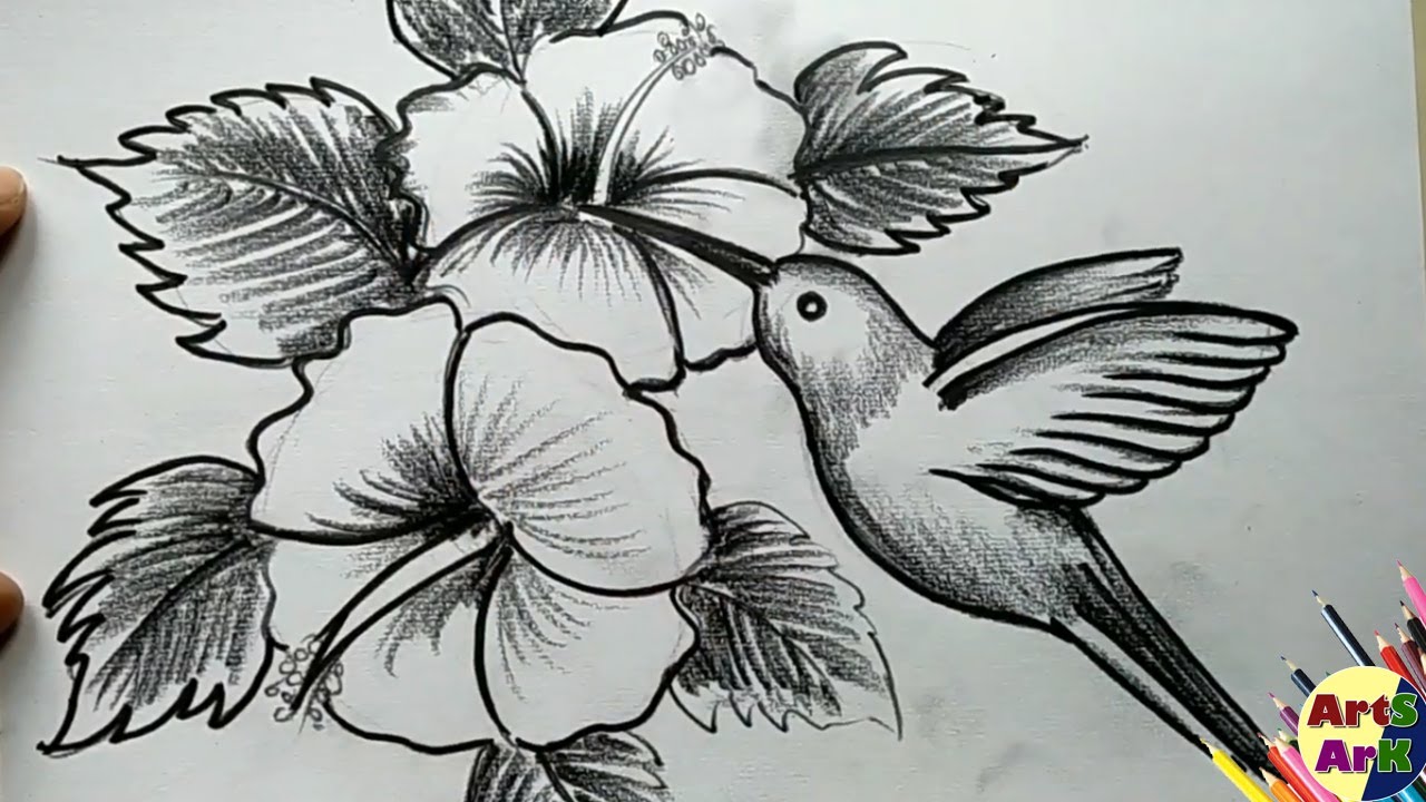 Detail Hummingbird And Flower Pencil Drawing Nomer 29