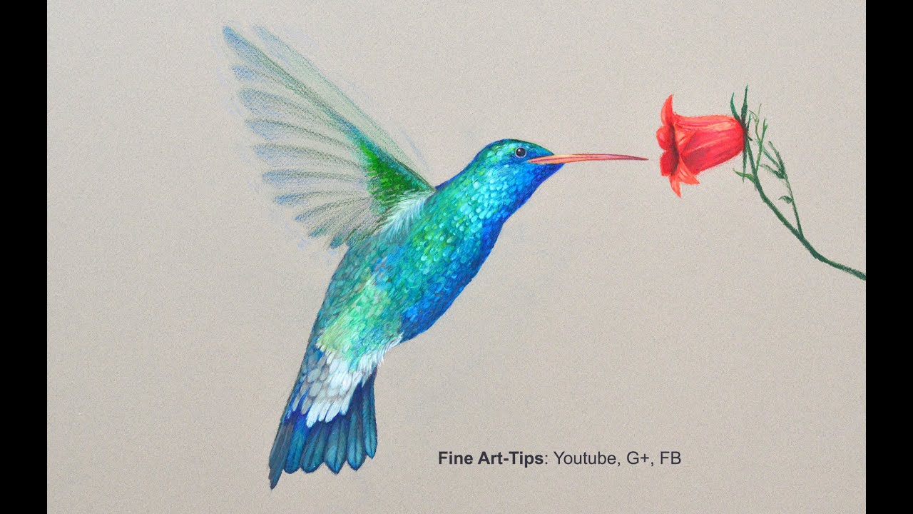 Detail Hummingbird And Flower Pencil Drawing Nomer 30