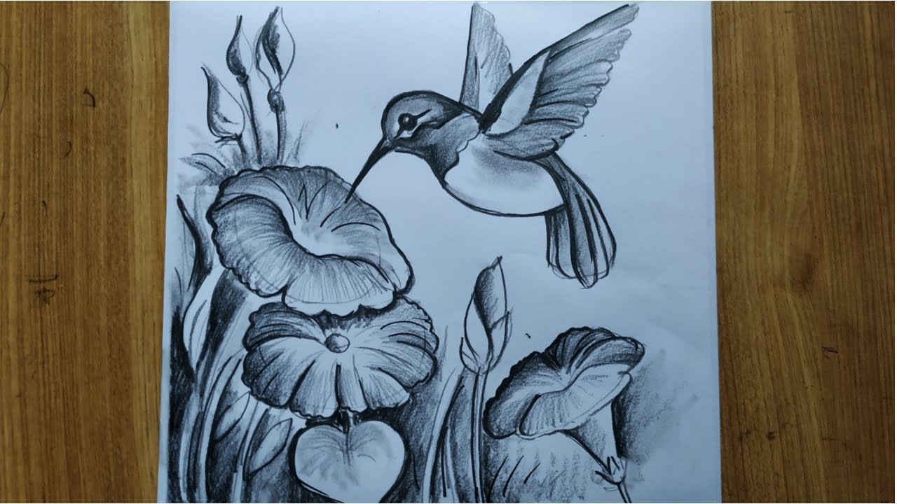 Detail Hummingbird And Flower Pencil Drawing Nomer 46