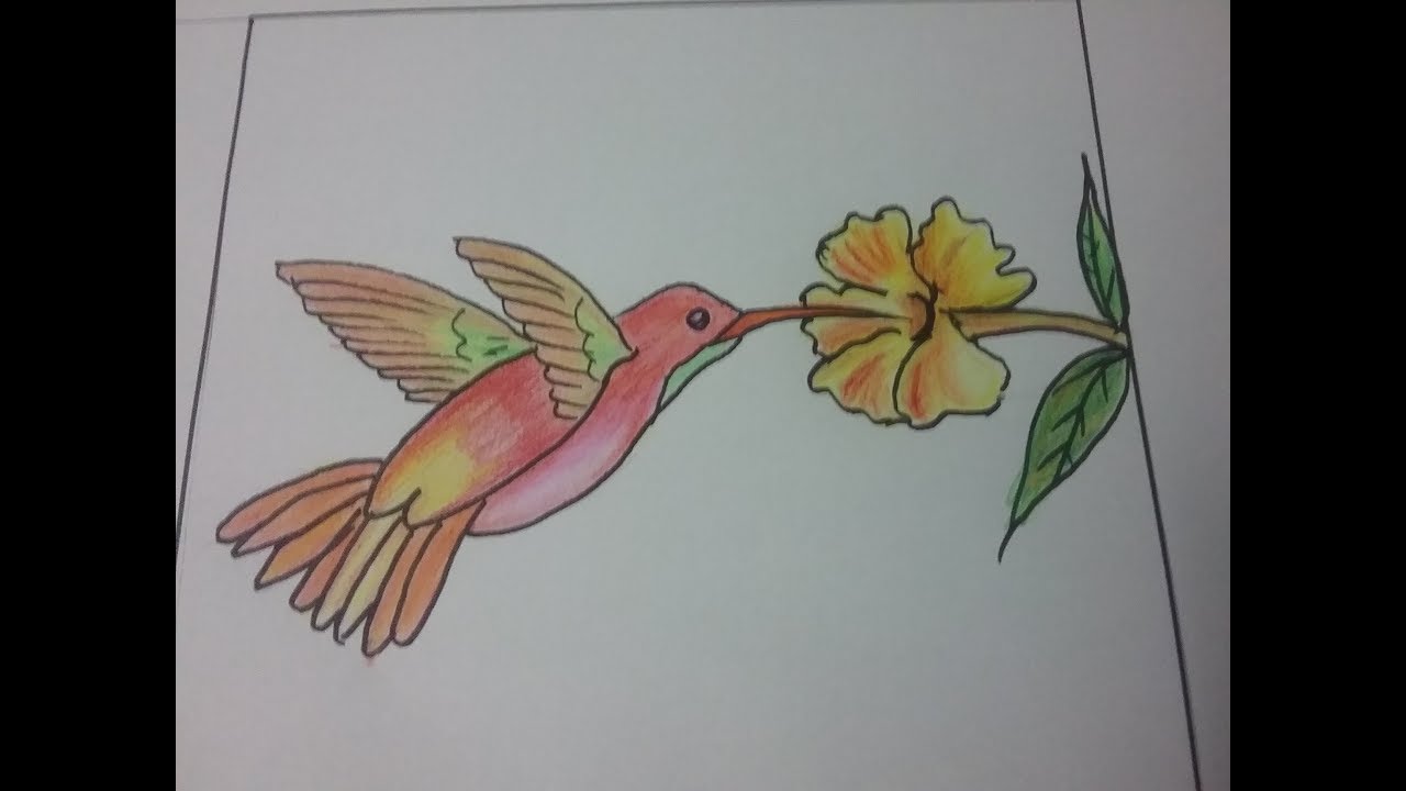 Detail Hummingbird And Flower Pencil Drawing Nomer 51