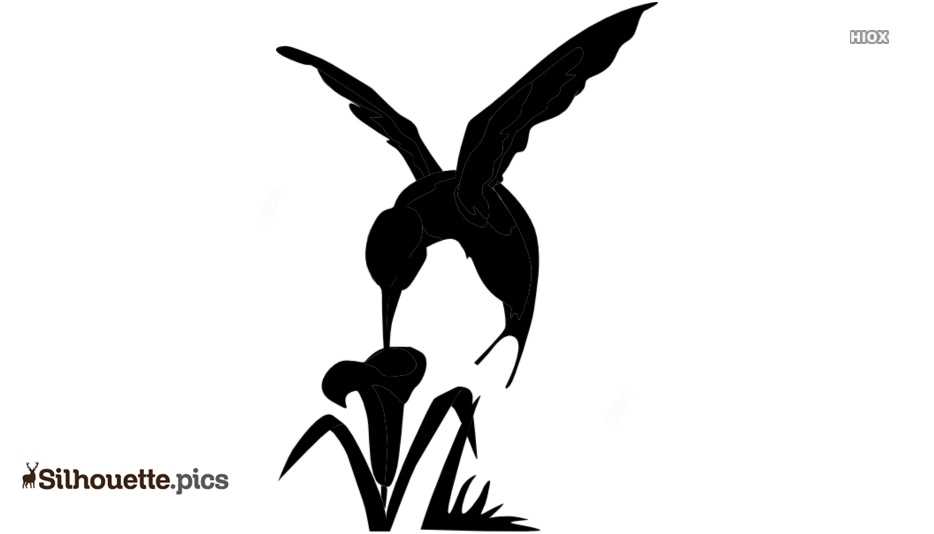 Detail Hummingbird And Flower Silhouette Nomer 32