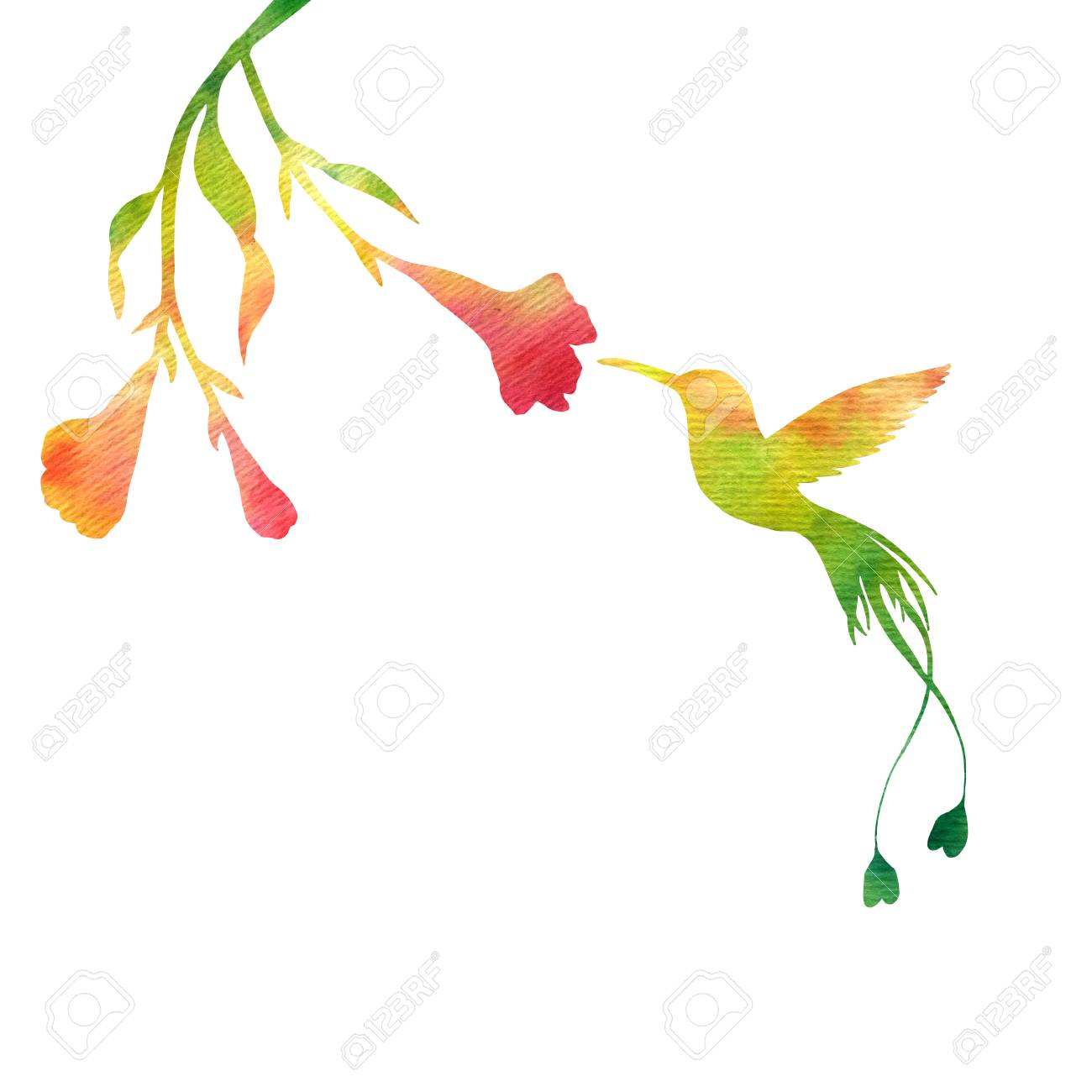 Detail Hummingbird And Flower Silhouette Nomer 36