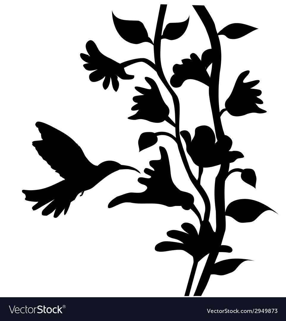 Detail Hummingbird And Flower Silhouette Nomer 5