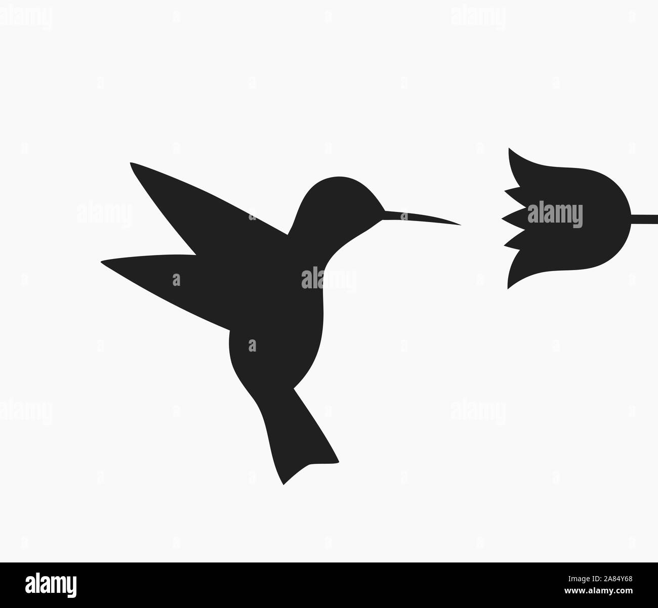 Detail Hummingbird And Flower Silhouette Nomer 44