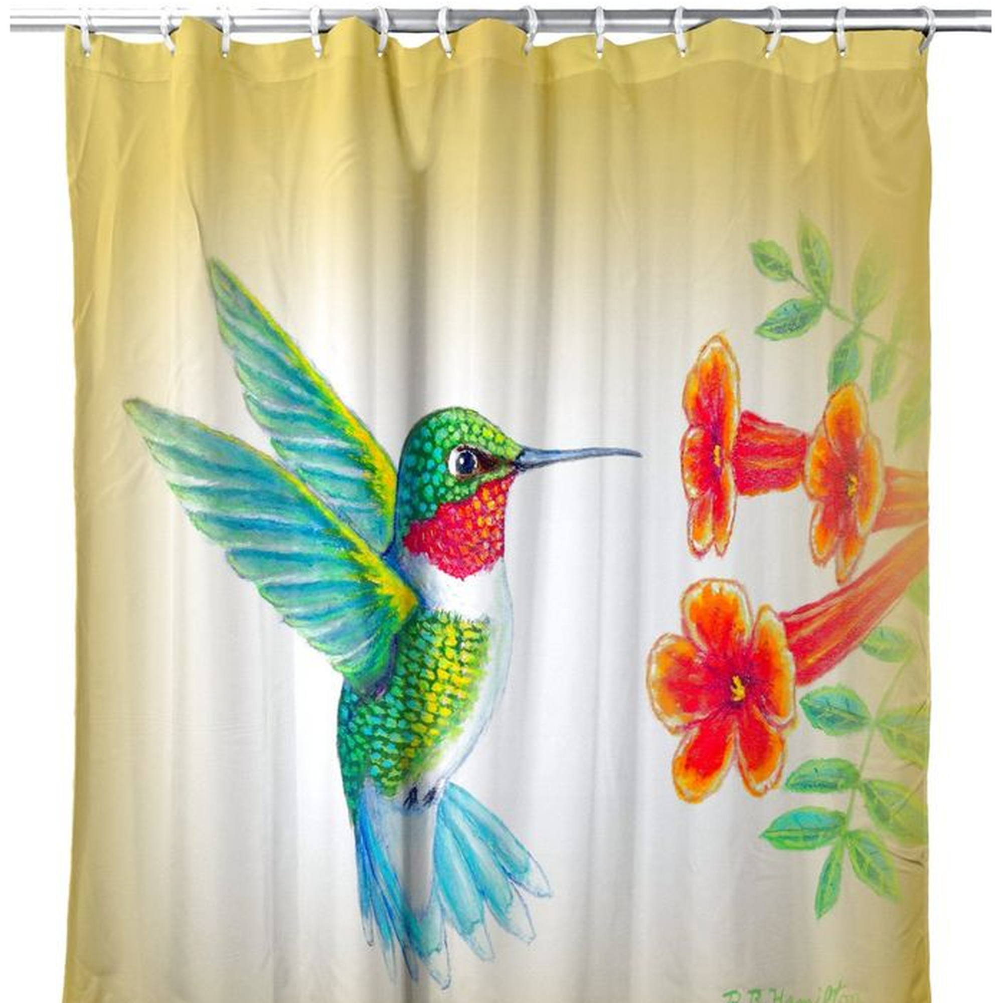 Detail Hummingbird Bathroom Curtains Nomer 15