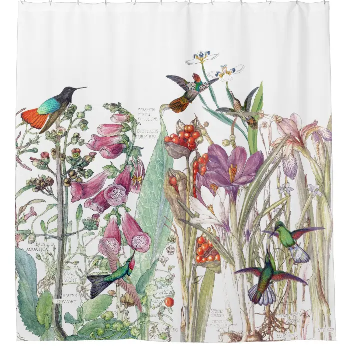 Detail Hummingbird Bathroom Curtains Nomer 48