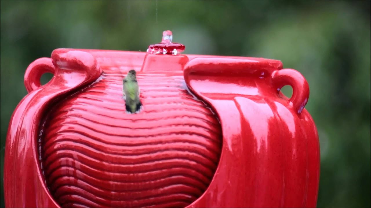 Detail Hummingbird Bird Bath Fountains Nomer 29