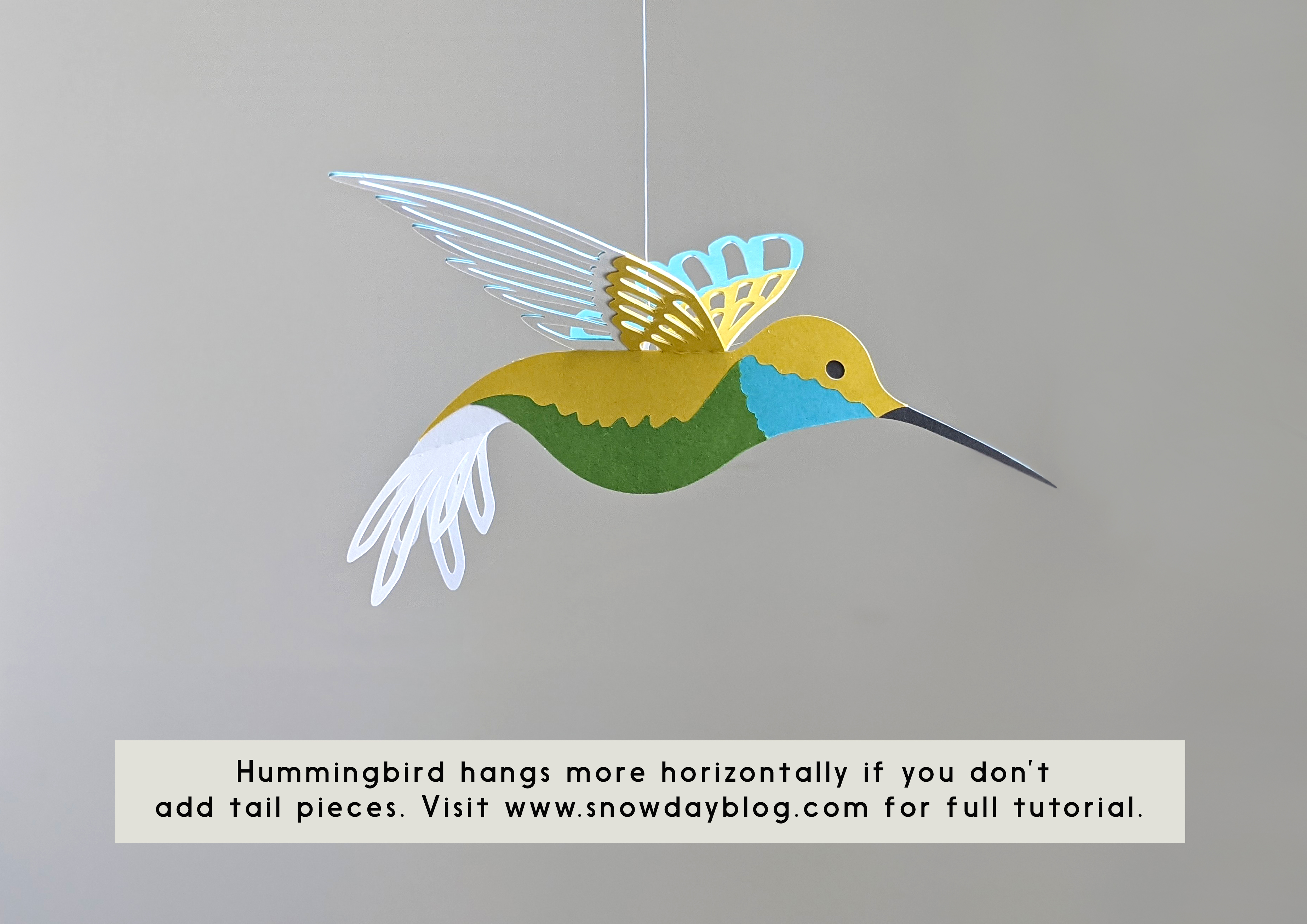 Detail Hummingbird Birthday Meme Nomer 36