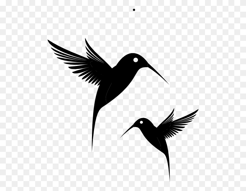 Detail Hummingbird Black And White Clipart Nomer 8