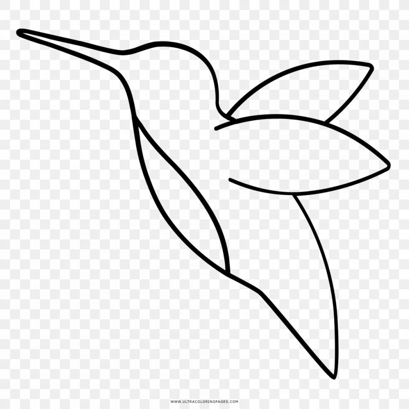 Detail Hummingbird Black And White Clipart Nomer 12