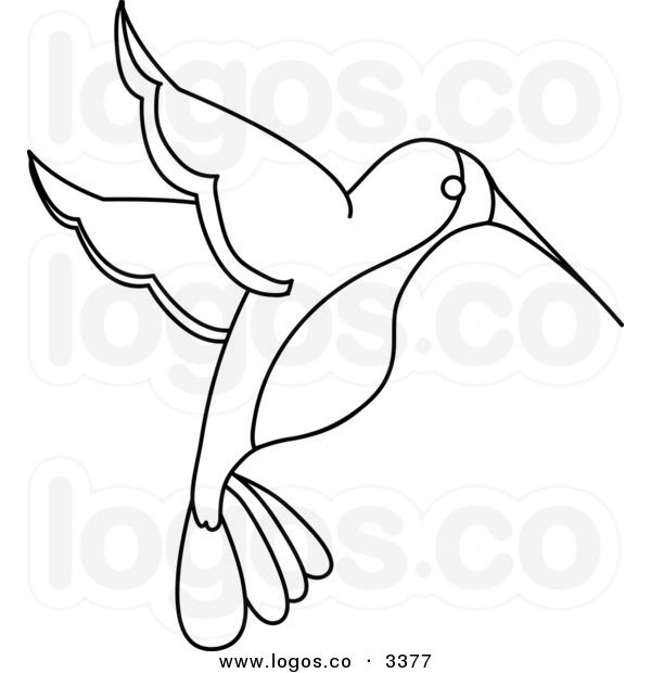 Detail Hummingbird Black And White Clipart Nomer 17